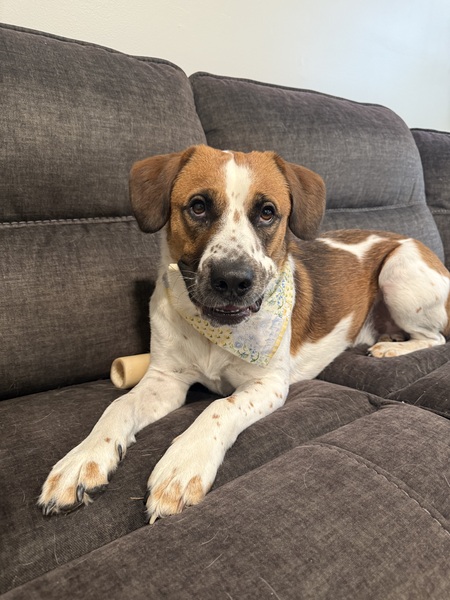 Entry image for Rip. Clicking this image will show a larger photo