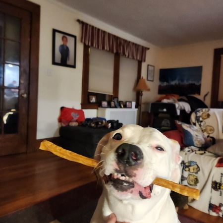 Entry image for Hercules. Clicking this image will show a larger photo