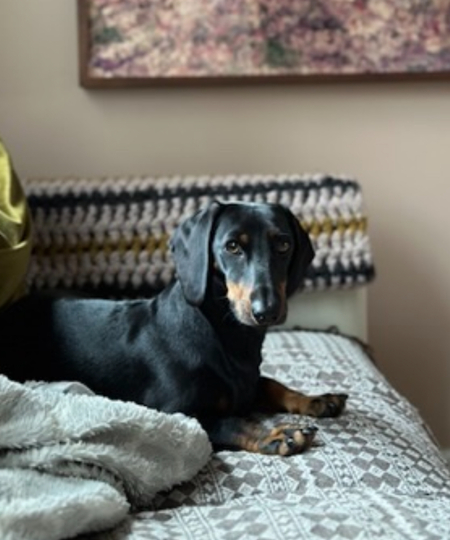 Entry image for Max. Clicking this image will show a larger photo