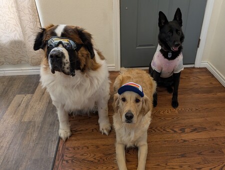 Yeti, Niffler & Storm
