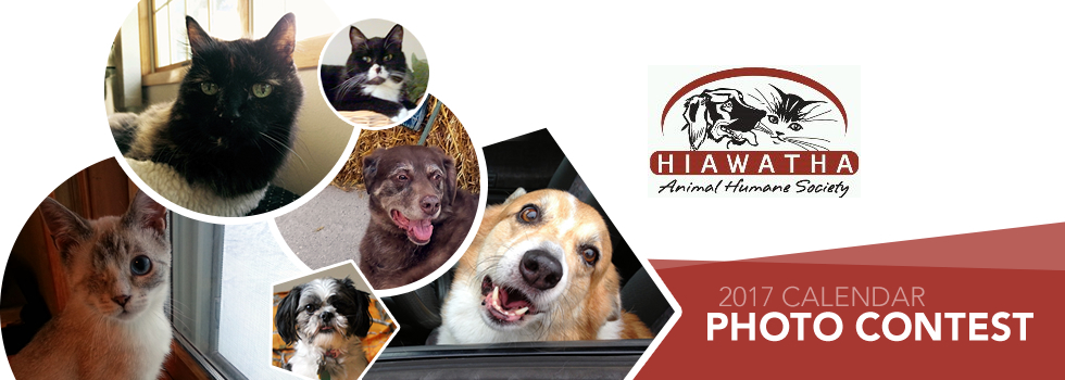 Banner for H.A.H.S. Photo Contest