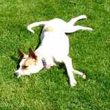 Entry image for Luna KImball