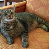 Entry image for Fred Weinkauf-Smit