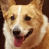 Entry image for Jack