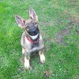 Entry image for Rudy 