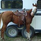 Entry image for Goober 