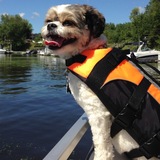 Entry image for Lily