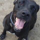 Entry image for Lumpy