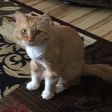 Entry image for Billy Jean Gilcreast