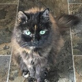 Entry image for Ally Wondrow