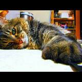 Entry image for Ernie