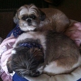 Entry image for Lilly and Sophie