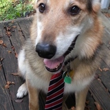 Entry image for Lucky