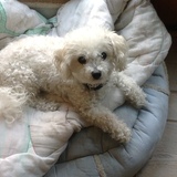 Entry image for Itsy