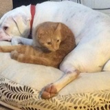 Entry image for Buddy and Sara