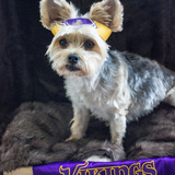 Entry image for Maci