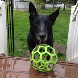 Entry image for Draco