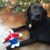 Entry image for Jack