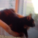 Entry image for Luna Mundy