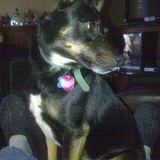 Entry image for Lucky