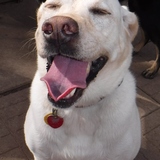 Entry image for Kate