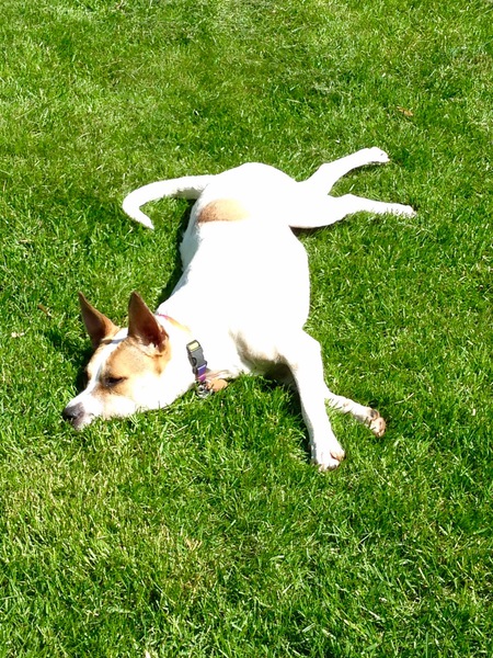 Entry image for Luna KImball. Clicking this image will show a larger photo