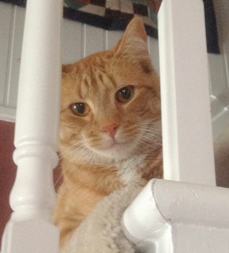 Entry image for Flash Blum. Clicking this image will show a larger photo