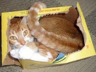 Entry image for Gordon Blum. Clicking this image will show a larger photo