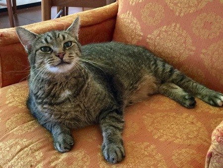 Entry image for Fred Weinkauf-Smit. Clicking this image will show a larger photo