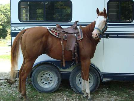 Entry image for Goober . Clicking this image will show a larger photo