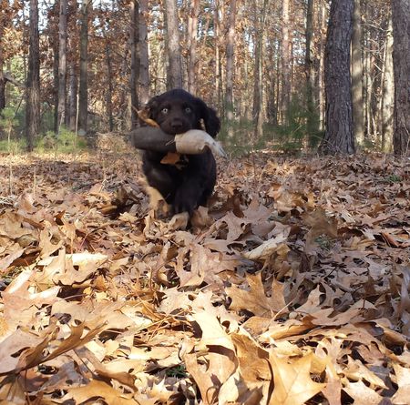 Entry image for Gunz. Clicking this image will show a larger photo