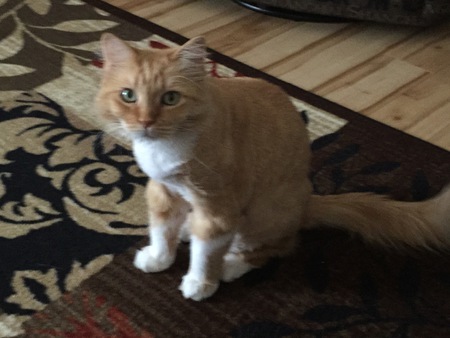 Entry image for Billy Jean Gilcreast. Clicking this image will show a larger photo