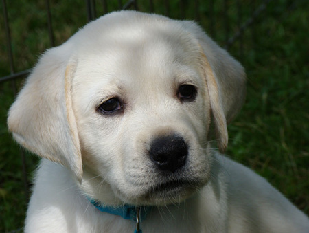 Entry image for Sunshine. Clicking this image will show a larger photo