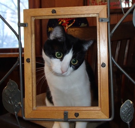 Entry image for Sapphire Nelson. Clicking this image will show a larger photo