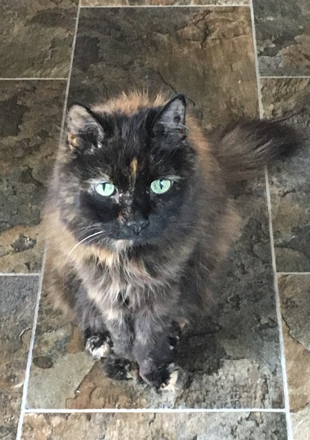 Entry image for Ally Wondrow. Clicking this image will show a larger photo