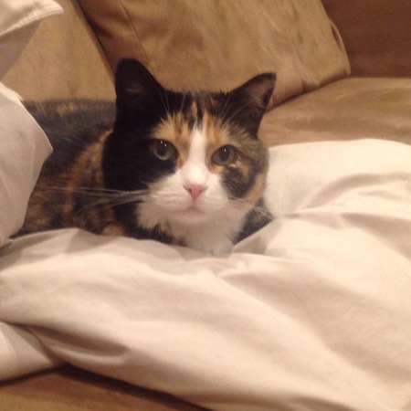 Entry image for Sweety Mathison. Clicking this image will show a larger photo