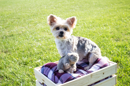 Entry image for Maci. Clicking this image will show a larger photo