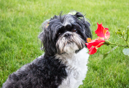 Entry image for Ella. Clicking this image will show a larger photo