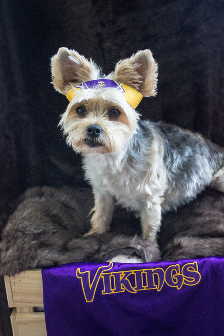 Entry image for Maci. Clicking this image will show a larger photo