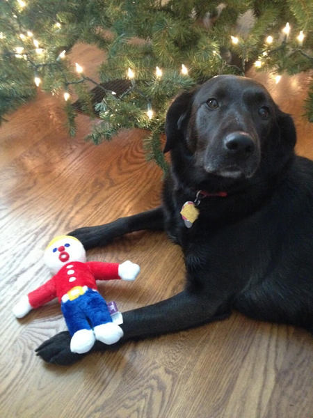 Entry image for Jack. Clicking this image will show a larger photo