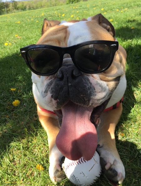 Entry image for Mac. Clicking this image will show a larger photo