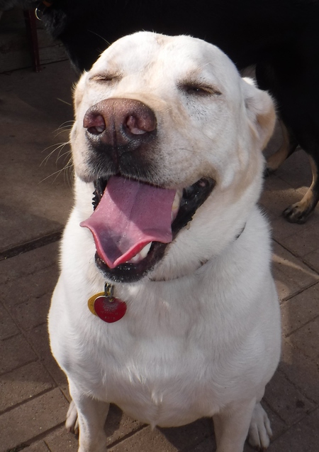 Entry image for Kate. Clicking this image will show a larger photo