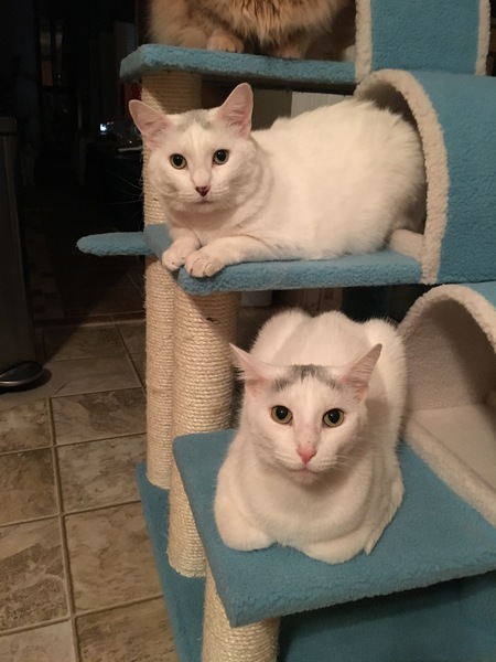Josephine & Joey