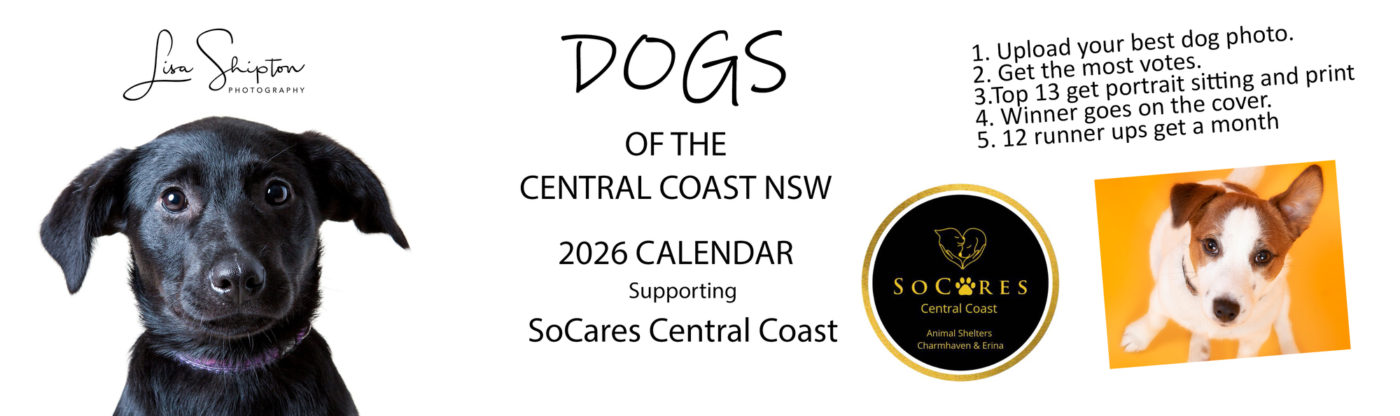 Banner for 2026 DOGS OF THE CENTRAL COAST CALENDAR for SoCares Central Coast