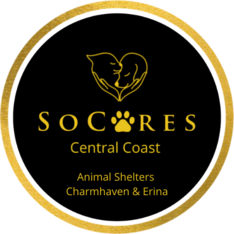 Logo for 2026 DOGS OF THE CENTRAL COAST CALENDAR for SoCares Central Coast