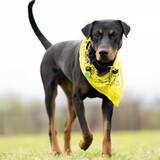 Entry image for Milli