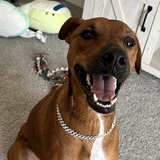 Entry image for Freddie