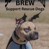 Entry image for Batman