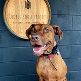 Entry image for Red Red Sir Reddington