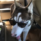 Entry image for Loki